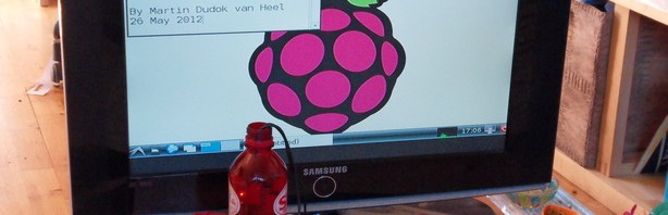 Raspberry Pi in plastic flesje in actie